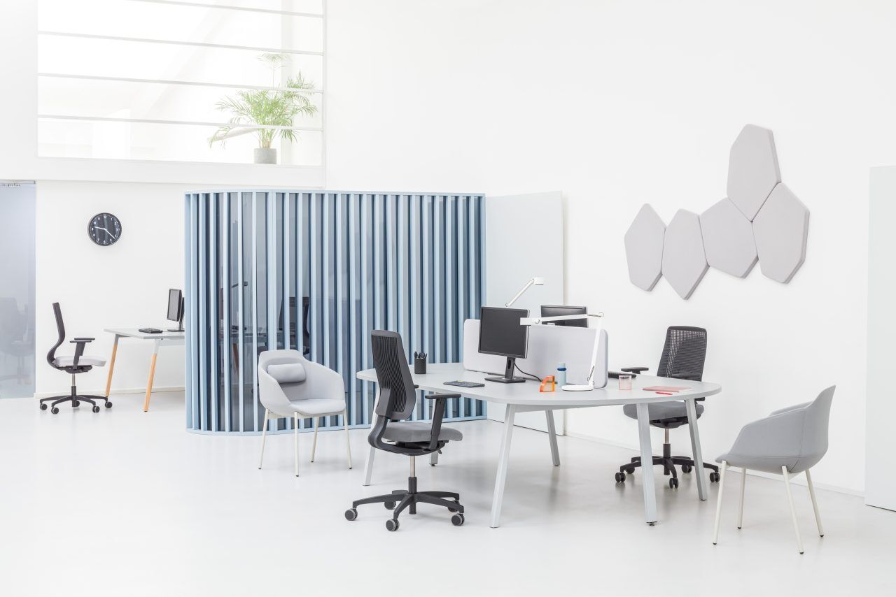 bazalto-acoustique-3